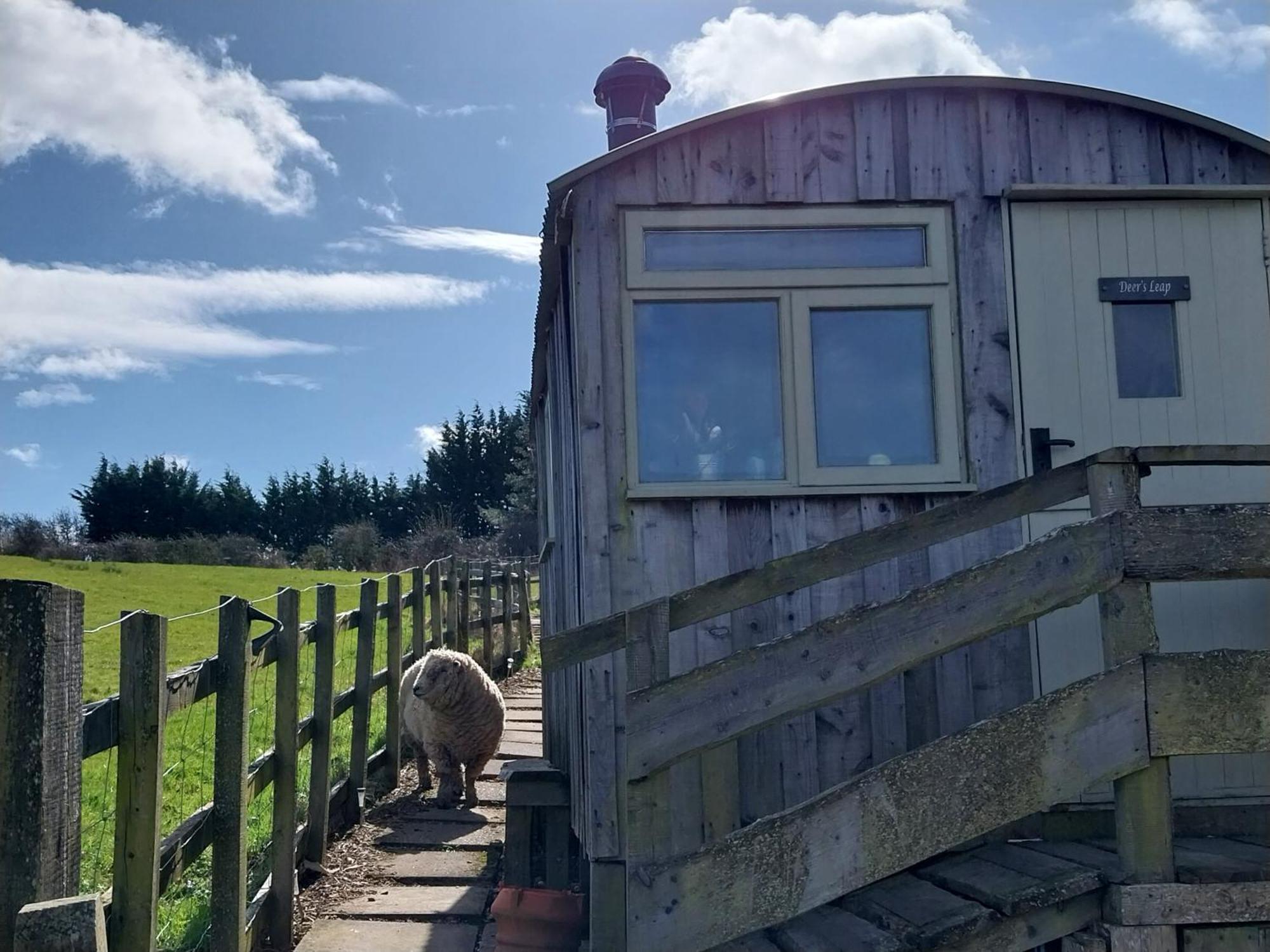 Meadowbeck - Shepherd Huts Fylingdales Dış mekan fotoğraf