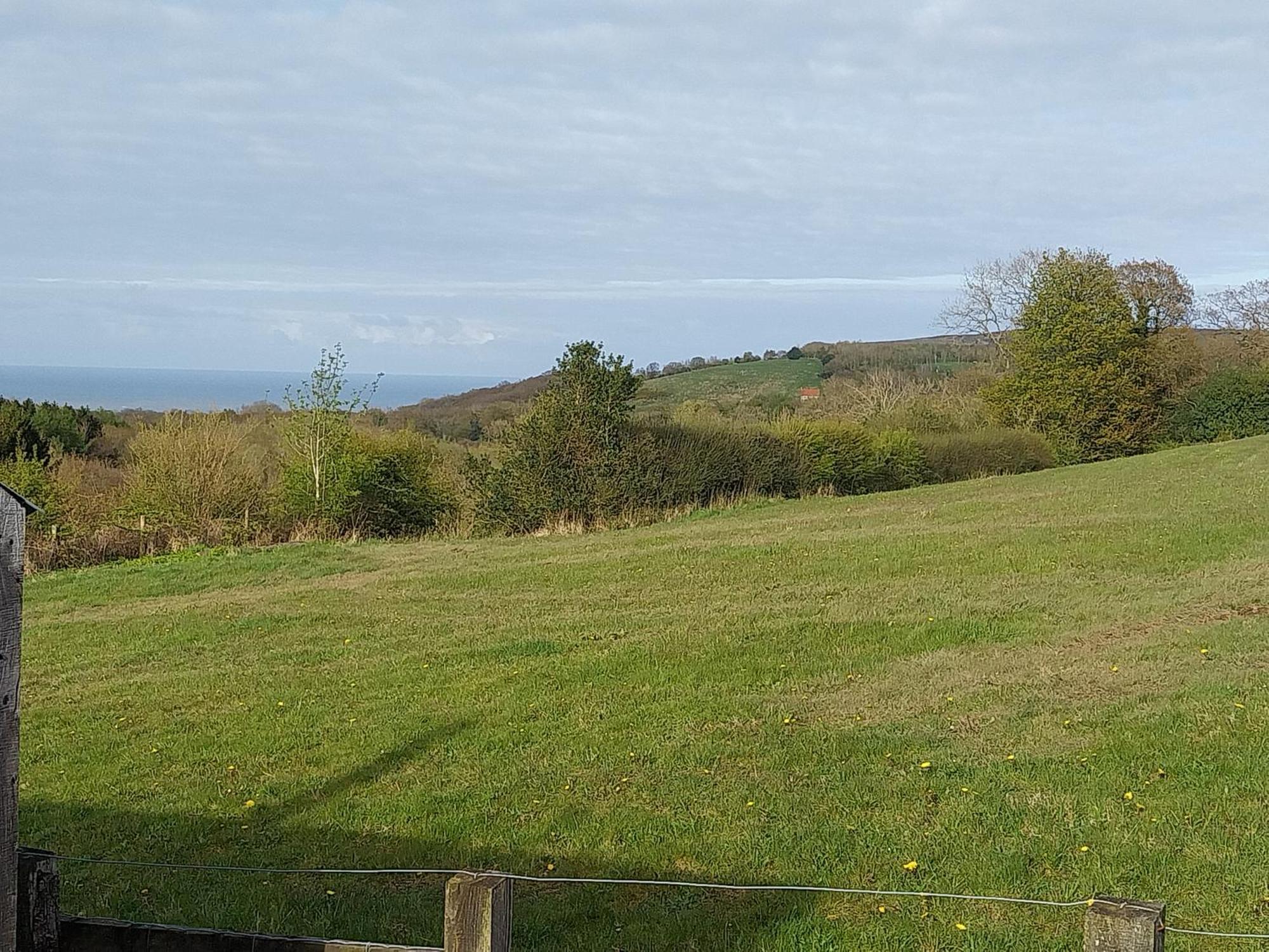 Meadowbeck - Shepherd Huts Fylingdales Dış mekan fotoğraf