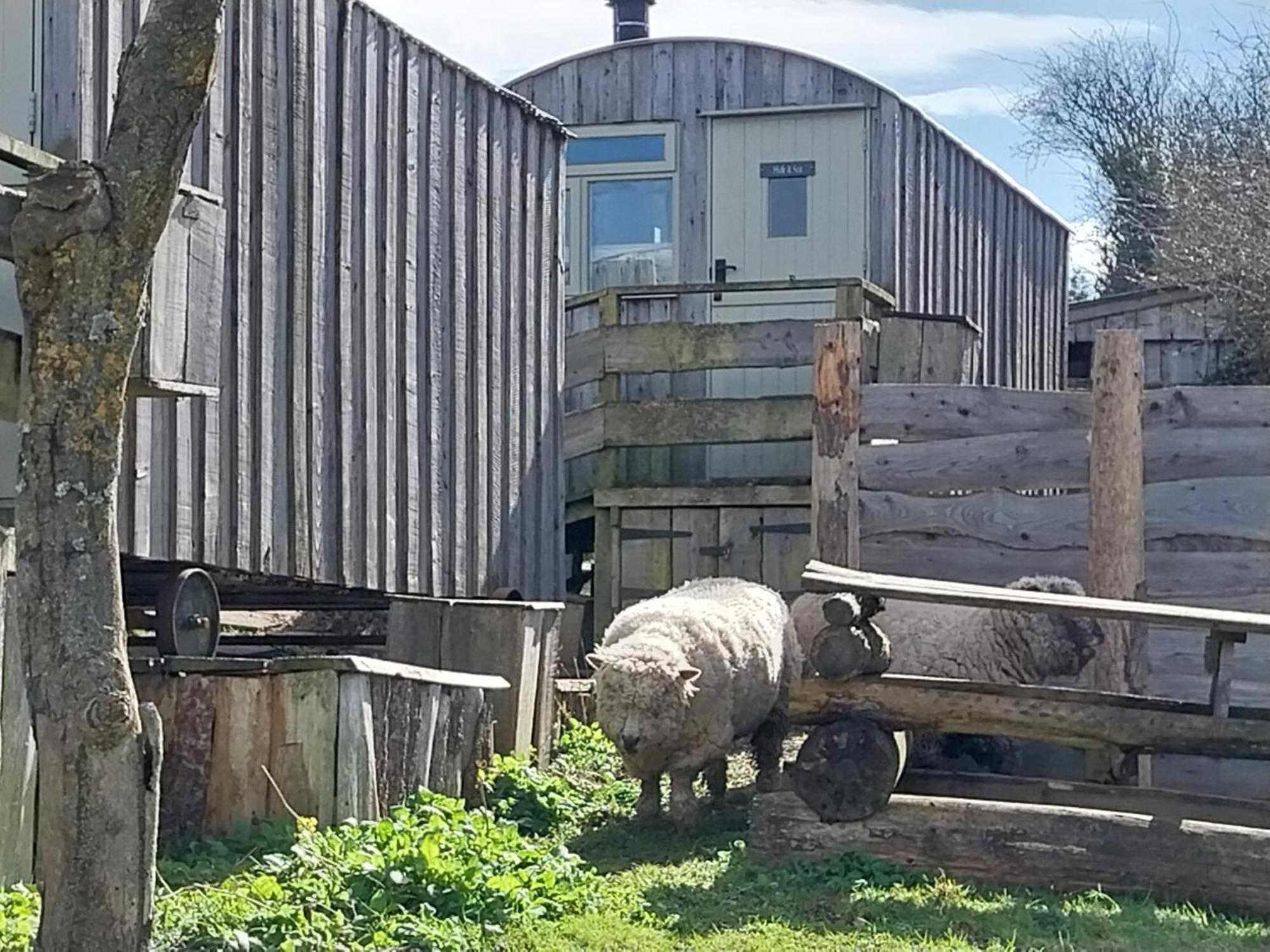 Meadowbeck - Shepherd Huts Fylingdales Dış mekan fotoğraf