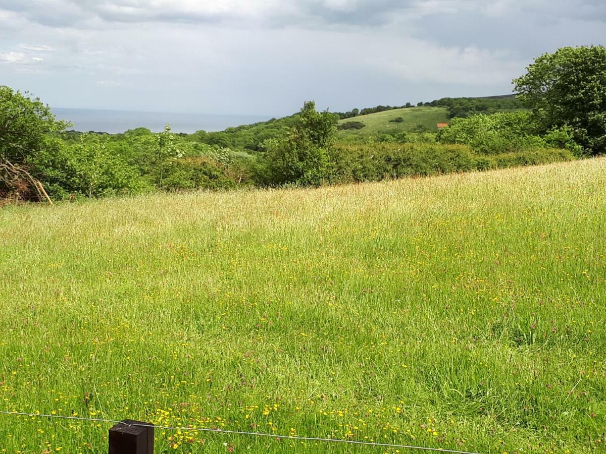 Meadowbeck - Shepherd Huts Fylingdales Dış mekan fotoğraf
